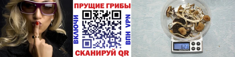 blacksprut сайт  Воскресенск  Галлюциногенные грибы прущие грибы 